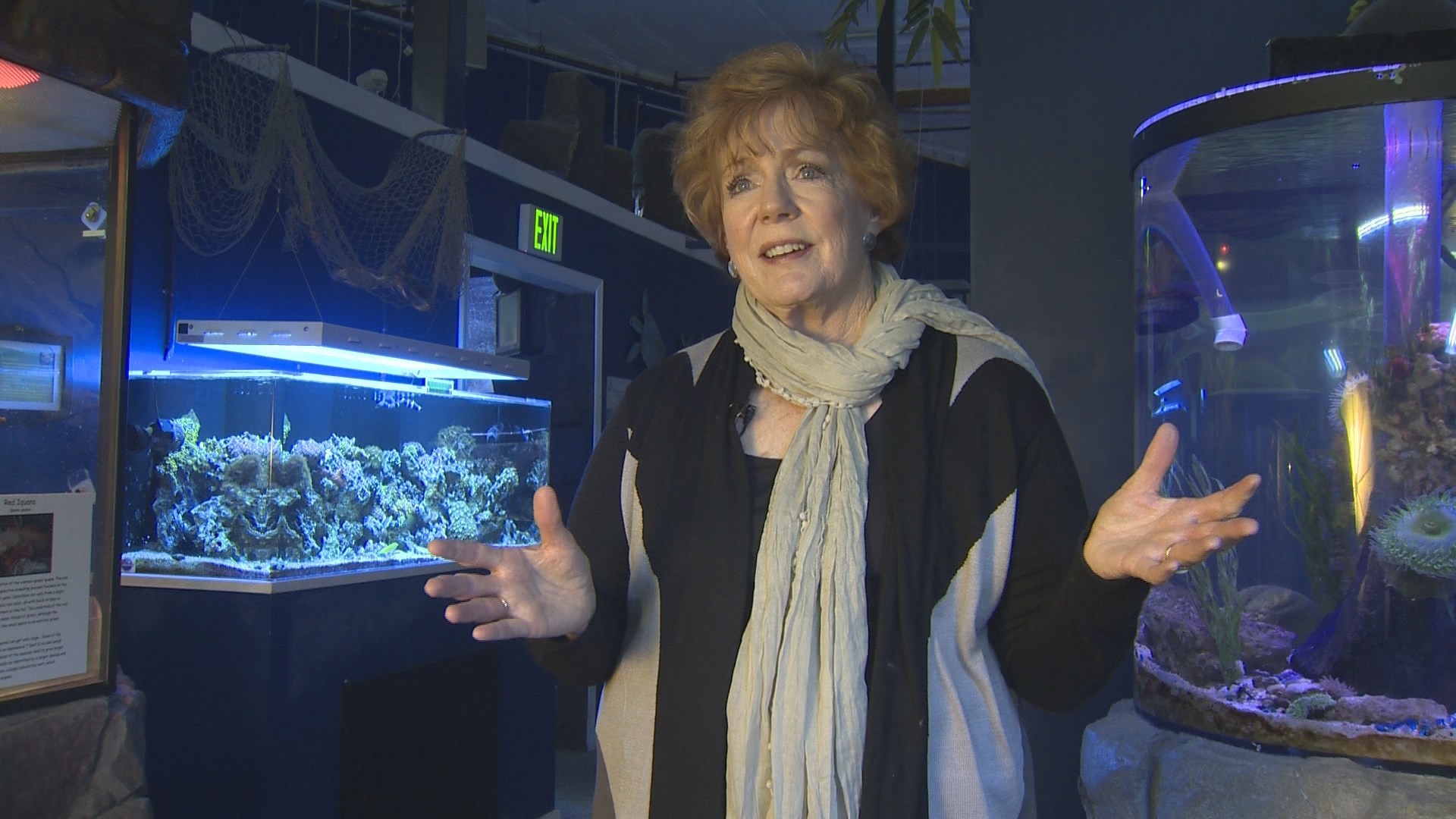 Idaho Aquarium gets new director, new path forward